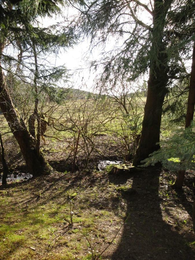 בראונלאגה Ferienwohnung Wandervogel מראה חיצוני תמונה